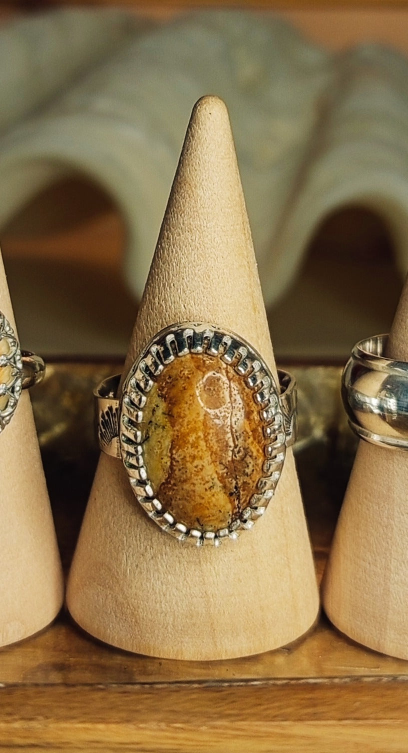 Sunset & Shell Rings