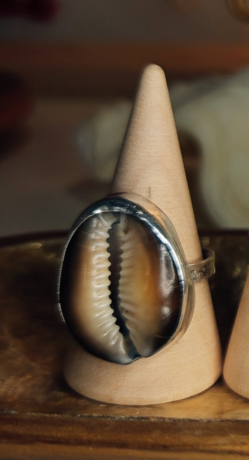 Sunset & Shell Rings
