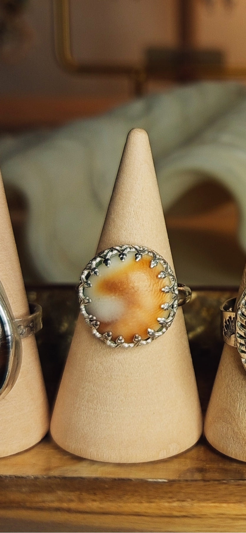 Sunset & Shell Rings