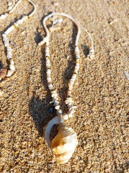 Bali Tide Collection