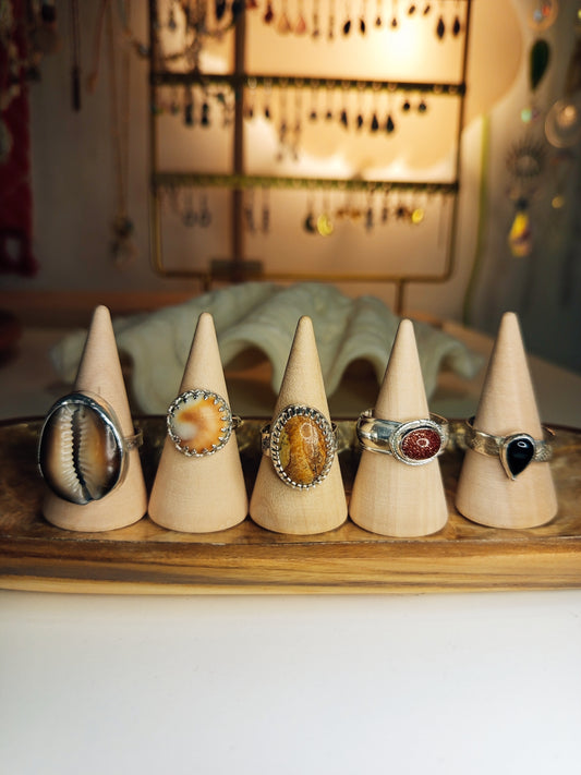Sunset & Shell Rings