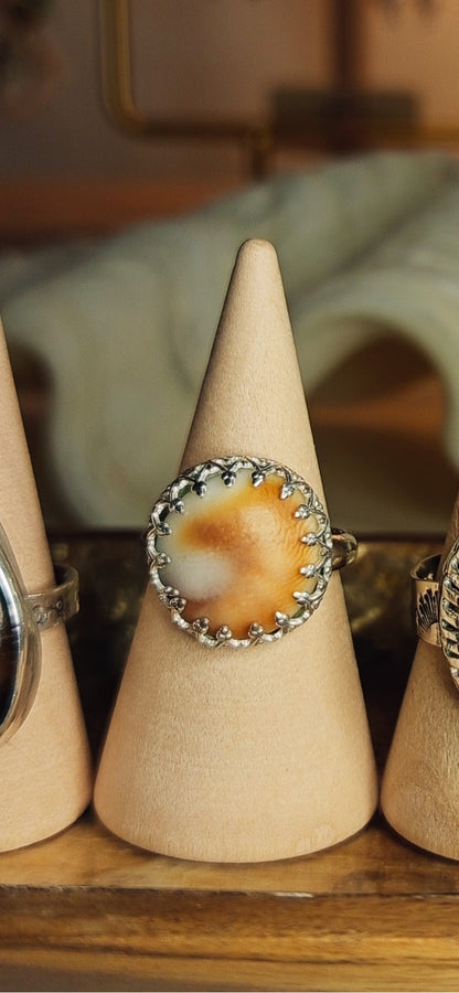 Sunset & Shell Rings